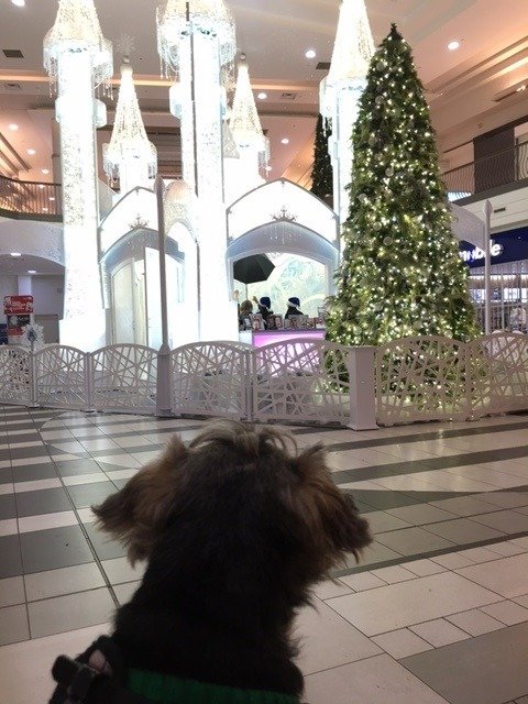 christmas mall