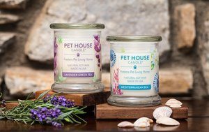 Pet House Candle Spring
