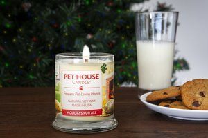 Pet House Candle Winter